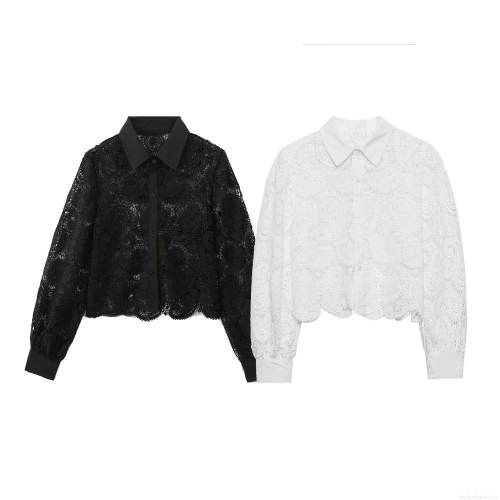 Women Lace Crochet Shirt Hollow Out Long Sleeve Turn-down Collar Slim Fit Short Jacket Polyester Blouse For Streetwear Party Casual Daily Solid Color Elegant Top