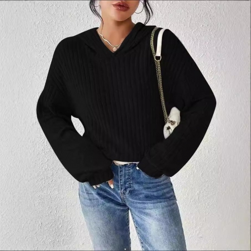 Women's Plus Size Hooded Sweatshirt Ribbed Polyester Spandex Pullover Long Sleeve Casual Solid Color Loose Fit Autumn Winter Hoodie For Women Women's Plus Size Hooded Sweatshirt Ribbed Polyester Spandex Pullover Long Sleeve Casual Solid Color Loose Fit Autumn Winter Hoodie For Women