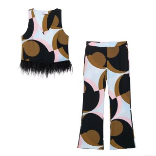 Women's Geometric Print Two Piece Set V Neck Sleeveless Crop Top With Feather Trim And High Waist Wide Leg Long Pants Streetwear Casual Outfits