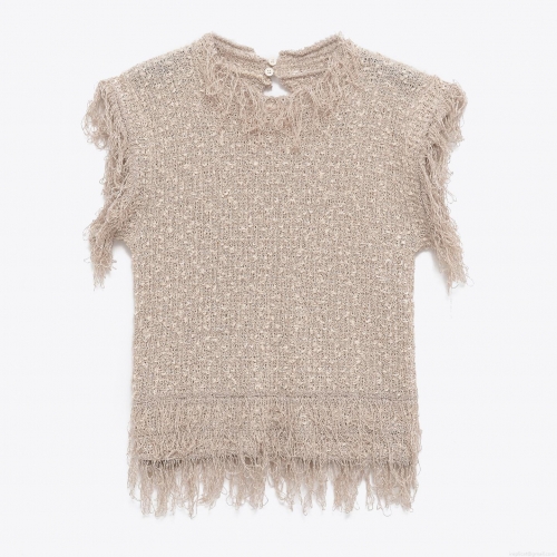 Women's Sleeveless Knit Vest Top Polyester Tassel Decoration Round Neck Casual Tank Top Autumn Winter Trendy Street Style Outerwear Knitted Waistcoat