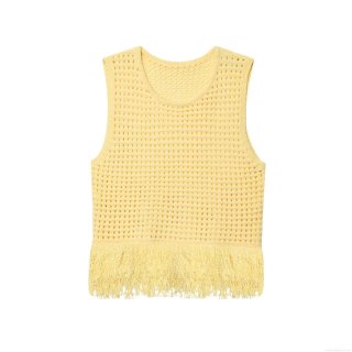 Women's Boho Crochet Tassel Knit Tank Top Hollow Out Sleeveless Round Neck Fringe Hem Polyester Knitwear Top Streetwear Summer Vest For Women